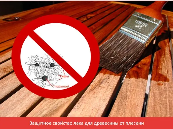 Святозар нанесние огнезащитного лака Универсального КМ1 и защита от биопоражений древесины.jpg